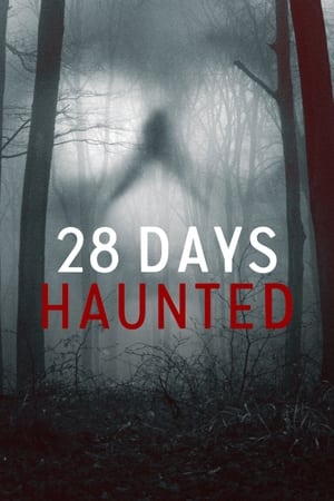 Ver 28 Días Paranormales