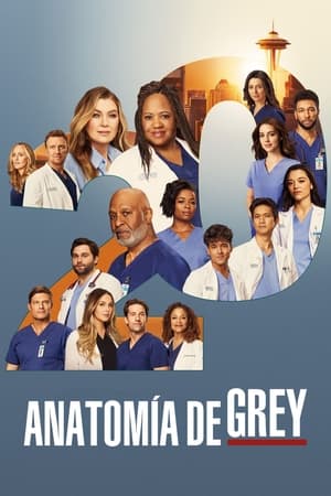 Ver Anatomía de Grey