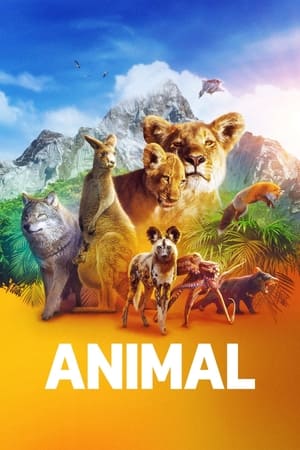 Ver Animal