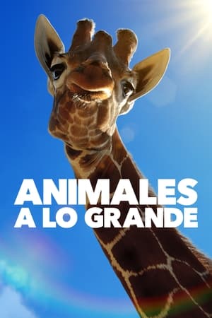 Ver Animales a lo grande