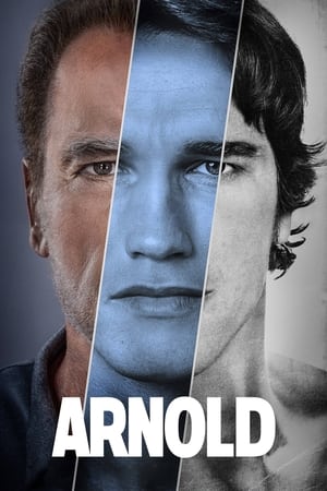 Ver Arnold