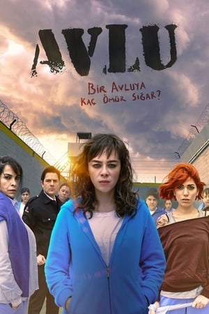 Ver Avlu: El patio