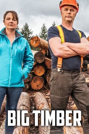 Ver Big Timber