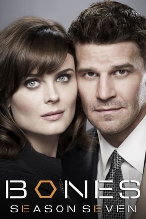 Bones