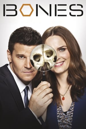 Ver Bones