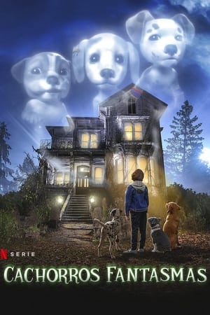 Ver Cachorros fantasmas