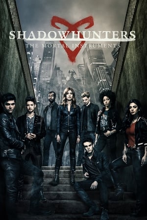 Ver Cazadores de sombras