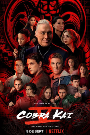 Ver Cobra Kai
