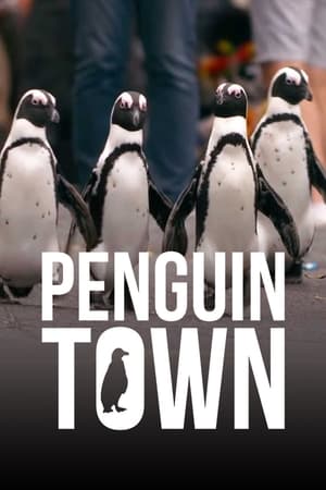 Ver Colonia Pingüino