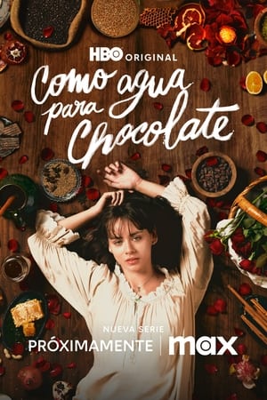 Ver Como agua para chocolate