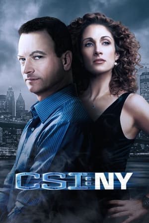 Ver CSI: Nueva York