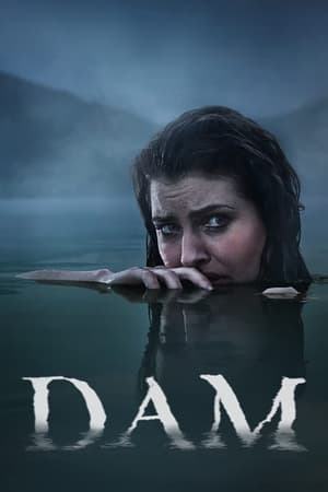 Ver Dam