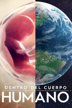 Ver Dentro del cuerpo humano