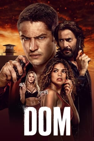 Ver DOM