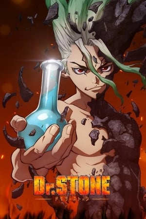 Dr. Stone