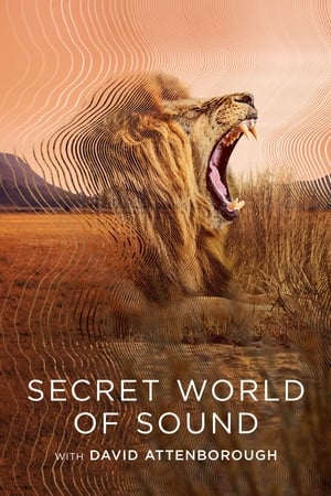 Ver El mundo secreto del sonido con David Attenborough