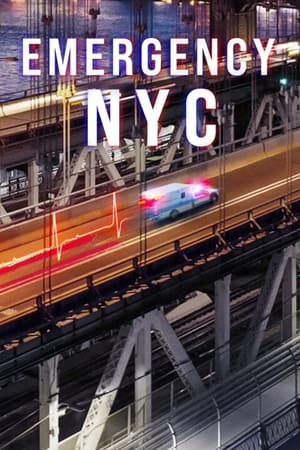 Ver Emergencias: Nueva York