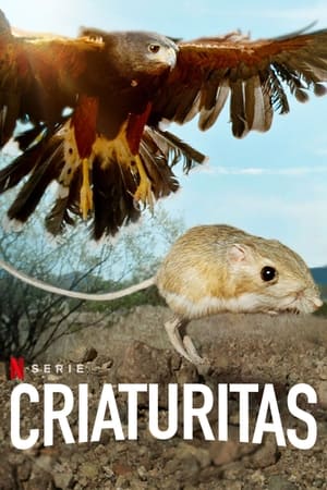 Ver Fauna minúscula