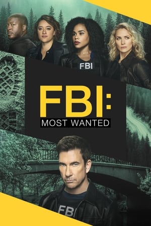 Ver FBI: Most Wanted