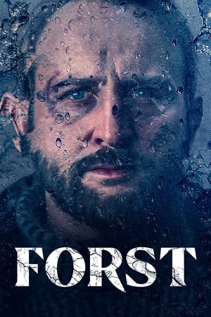 Ver Forst