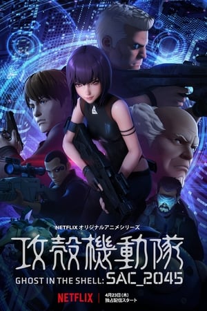 Ghost in the Shell: SAC_2045