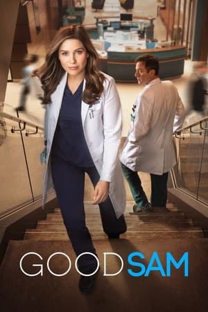 Ver Good Sam