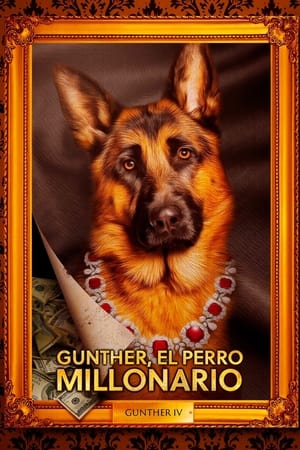 Ver Gunther, el perro millonario