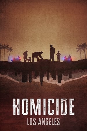 Homicidio Temporada 2