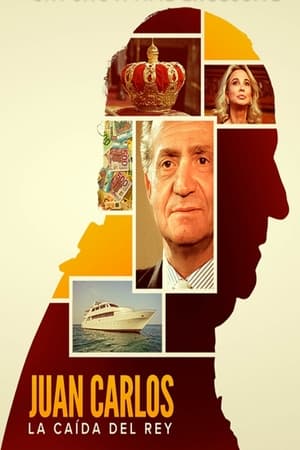 Ver Juan Carlos: La caída del rey