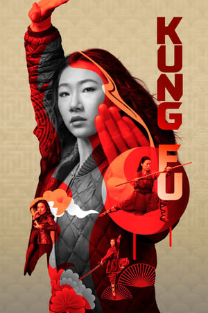 Ver Kung Fu