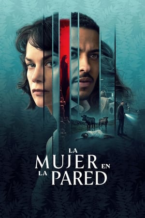 Ver La mujer en la pared