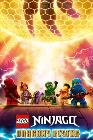 Ver LEGO Ninjago: El renacer de los dragones