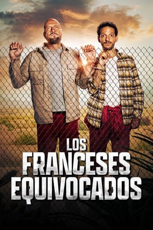 Ver Los amateurs