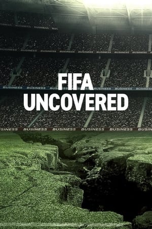 Ver Los entresijos de la FIFA
