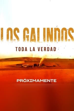 Ver Los Galindos, toda la verdad