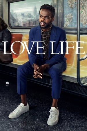 Ver Love Life