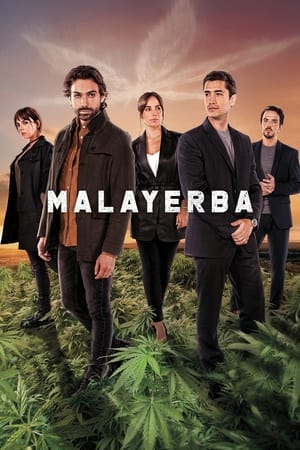 Ver MalaYerba