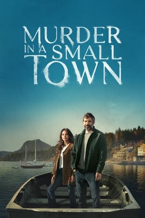 Ver Murder in a Small Town