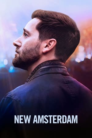 Ver New Amsterdam