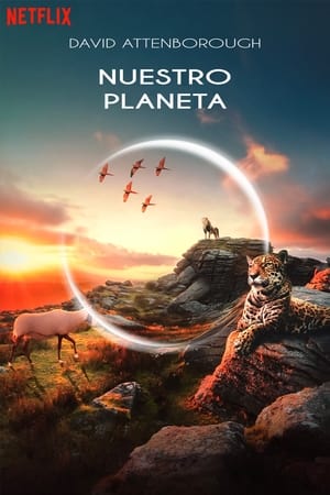 Ver Nuestro Planeta