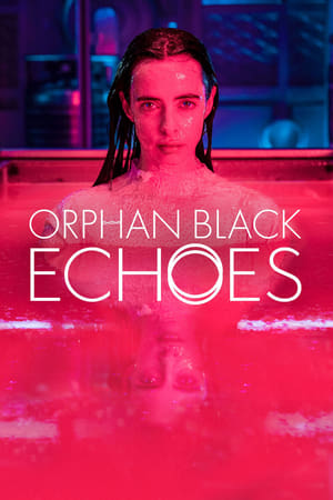 Ver Orphan Black: Echoes