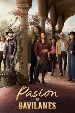 Ver Pasión de gavilanes