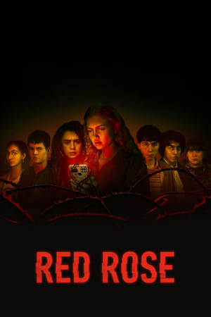 Ver Red Rose