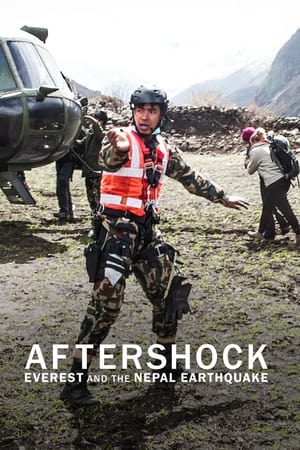 Ver Réplicas: El terremoto en el Everest y Nepal