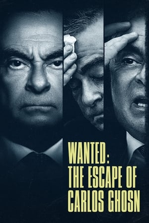 Ver Se busca: Carlos Ghosn