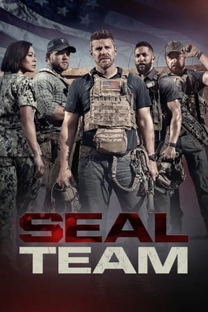 Ver SEAL Team