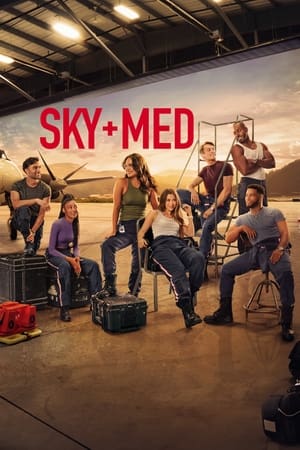 Ver SkyMed