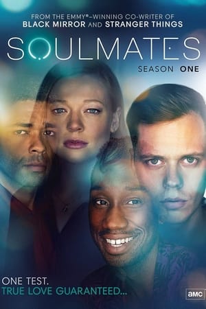 Ver Soulmates