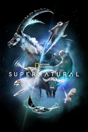 Ver Super/Natural