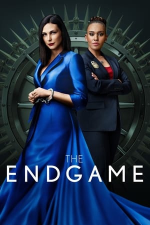 Ver The Endgame